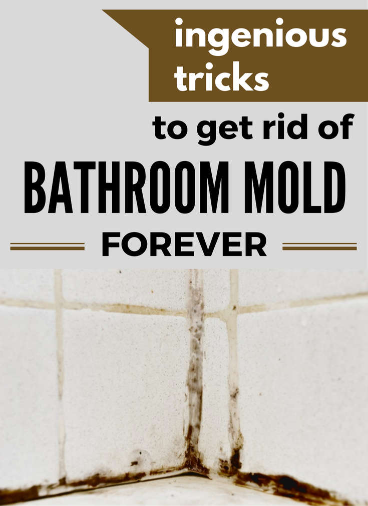 Ingenious Tricks To Get Rid Of Bathroom Mold Forever ...