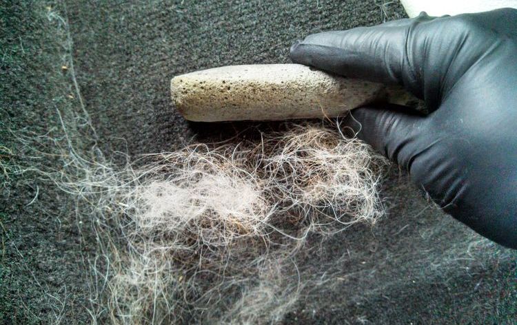 How to remove pet hair out of carpet