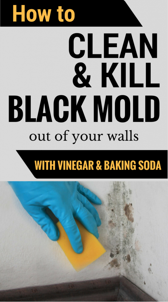 How To Clean & Kill Mold Off Your Walls With Vinegar And Baking Soda