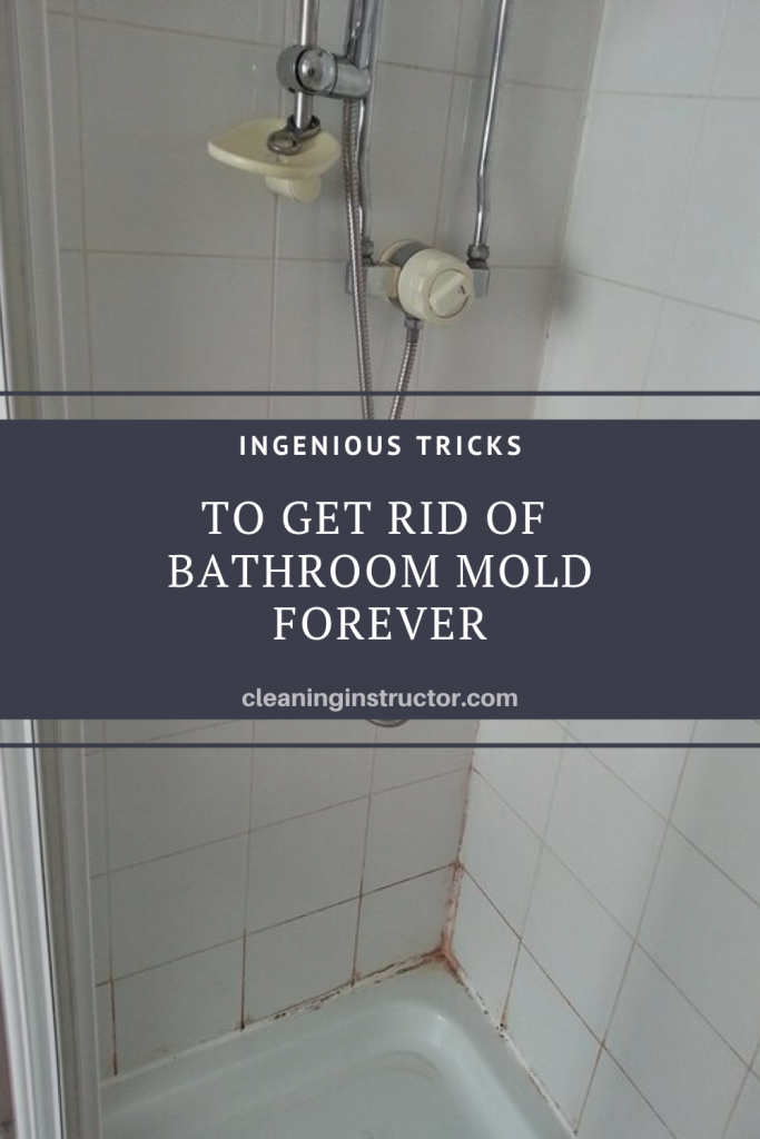how to get rid of mould on walls in bathroom