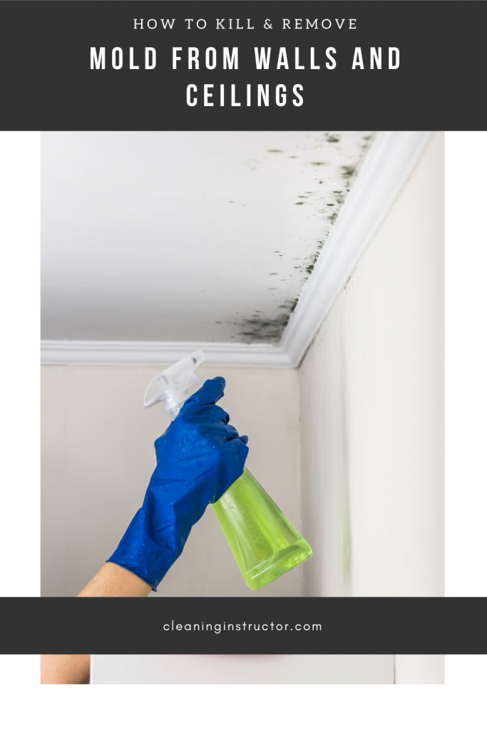 How To Kill & Remove Mold From Walls And Ceilings