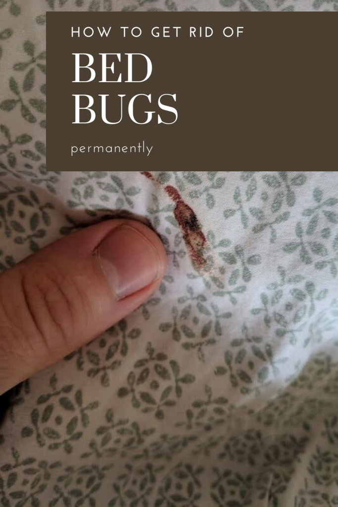 bed-bugs-rash-treatment