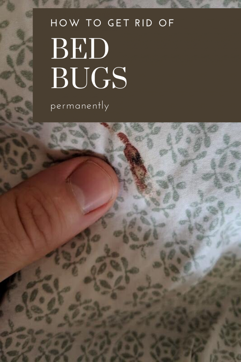 How To Get Rid Of Bed Bugs Permanently - CleaningInstructor.com
