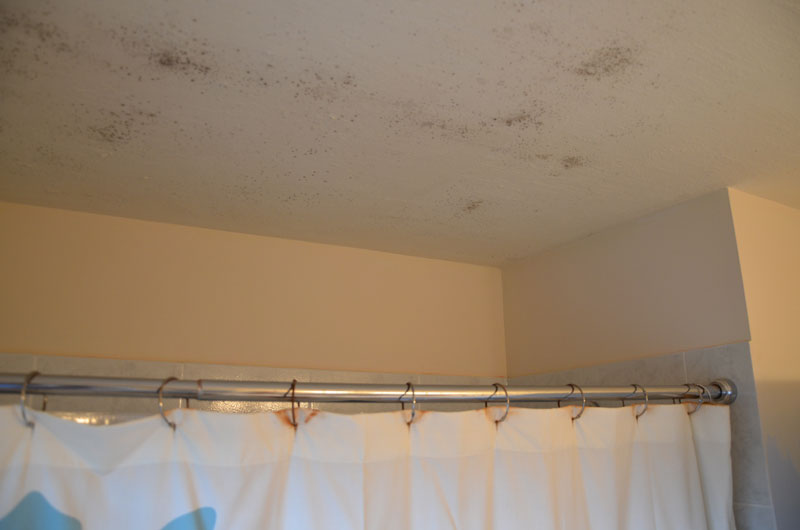 The Best Natural Method To Get Rid Of Mold In Bathroom Ceiling Cleaninginstructor Com - How To Clean Mold Off Bathroom Ceiling Naturally