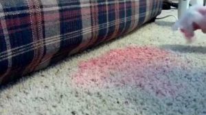 How To Get Kool-Aid Out Of Your Carpet