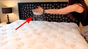 Homemade Solution To Clean And Disinfect The Mattress For A Goodnight Sleep