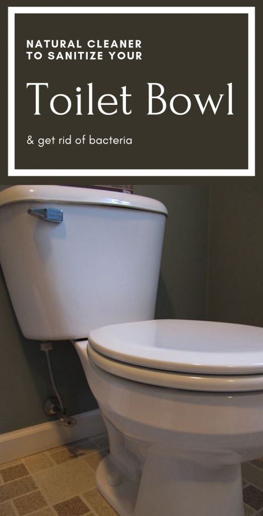 Natural Cleaner To Sanitize Your Toilet Bowl And To Get Rid Of Bacteria CleaningInstructor Com