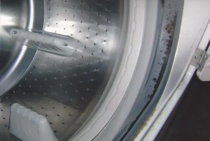 Non-Toxic Method To Get Rid Of That Mold Smell Out Of The Washing Machine
