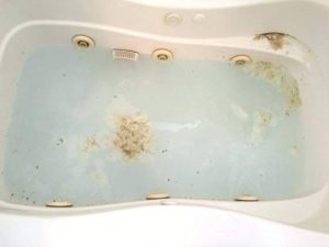 Great Way To Remove Those Moldy Hard Water Stains From A Jetted Bathtub