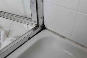 30-Minute Method To Remove Black Mold From Shower Caulk
