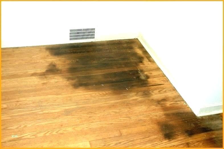 Homemade Enzyme Cleaner For, How To Get Urine Smell From Hardwood Floors