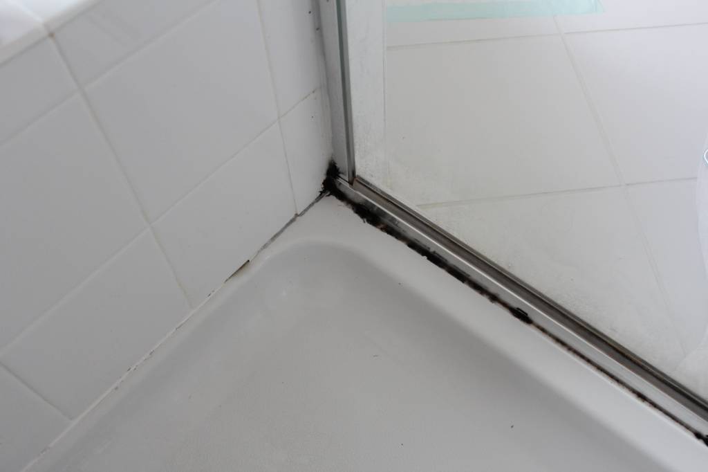 30 Minute Method To Remove Black Mold From Shower Caulk Cleaninginstructor Com - How To Remove Mold From Caulking In Bathroom