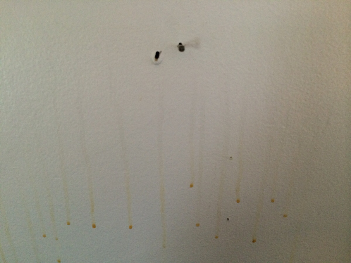 Best Way To Remove Grease Splatters From Painted Walls