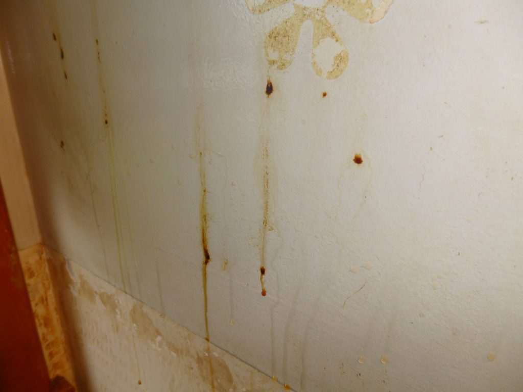 best-way-to-remove-grease-splatters-from-painted-walls