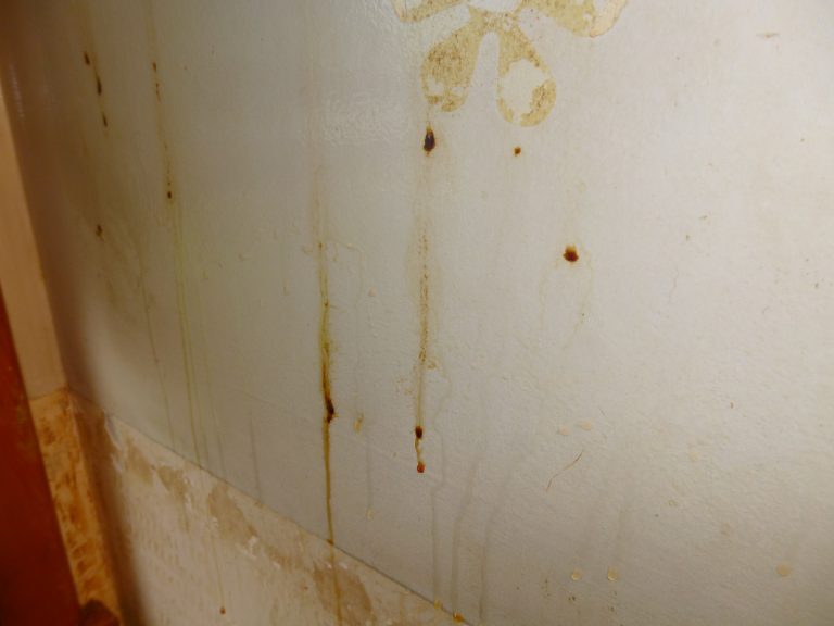 Best Way To Remove Grease Splatters From Painted Walls