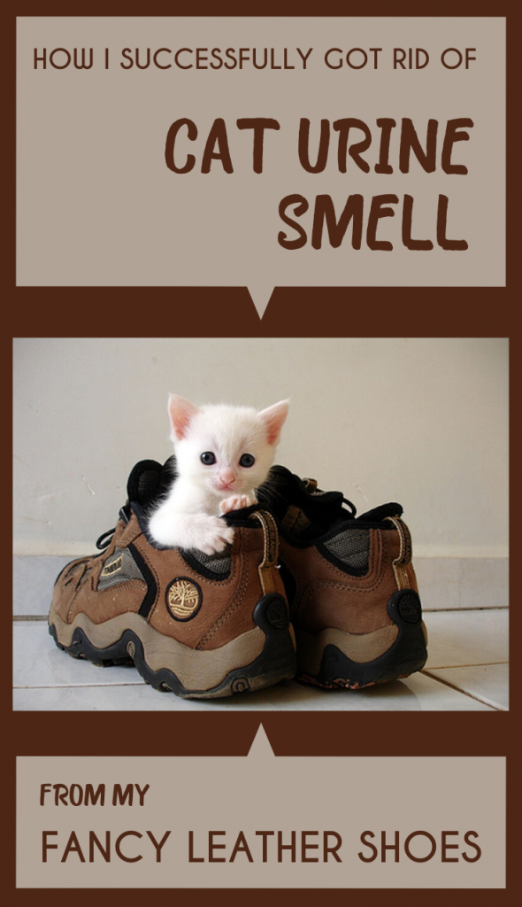 how to get rid of cat urine smell on leather