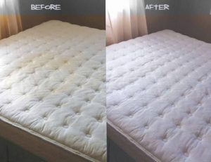 How I Managed To Remove Poop Stains Out Of A Mattress