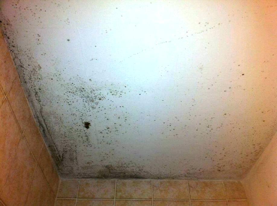 Kill Black Mold Lingering On Your Bathroom Ceiling In 20 Minutes Cleaninginstructor Com - How To Clean Black Mould Off Bathroom Ceiling