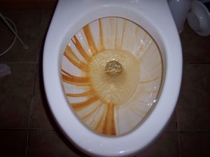 Vinegar Based Methods To Get Rust Rings And Hard Water Stains Out Of A Toilet Bowl