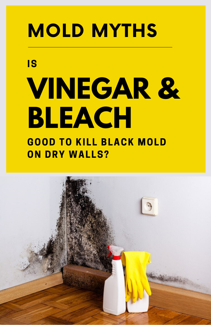 Mold Myths! Is Vinegar And Bleach Good To Kill Black Mold On Dry